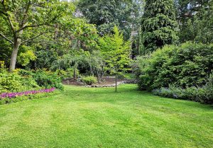 Optimiser l'expérience du jardin à Saint-Crespin-sur-Moine